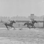 Underappreciated Stars of the 1950s: Crafty Admiral, First Landing, and Tim Tam