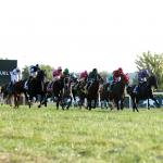 2026 Mint Millions Stakes at a Glance
