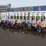 2026 King’s Plate Cheat Sheet