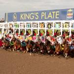 2025 King’s Plate Cheat Sheet