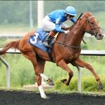 Apprentice Taylor Kingsley Savors First Stakes Success While Pursuing Dream