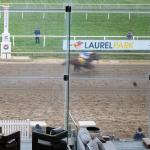 ABR’s Trifecta Picks for the 2026 Preakness Stakes