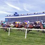 Noel’s Weekend Winners: Best Bets for Preakness Undercard at Laurel Park