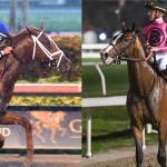 2019 Louisiana Derby Cheat Sheet