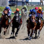 2026 Frank J. De Francis Memorial Dash Stakes Cheat Sheet