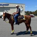Thoroughbred Aftercare Alliance Success Story: Long Heir’s Second Career in Service 