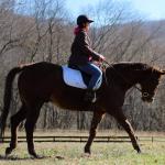Luck With a Kiss: A Volunteer’s Unexpected Adoption