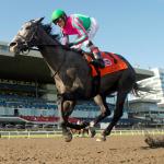 A Trifecta Strategy for Betting Woodbine Oaks Winner Luster in the King’s Plate