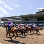 Born to Run (Fast): Tips and Trends for Betting Monmouth Park in 2026