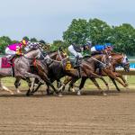 Noel’s Weekend Winners: Top Picks for Haskell Preview Day at Monmouth
