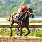 2026 Zenyatta Stakes at a Glance