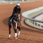 Maximum Security, McKinzie Head $20 Million Saudi Cup