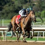 2026 Santa Anita Oaks at a Glance