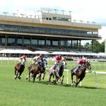 Noel’s Weekend Winners: High Stakes on Arlington Million Day at Colonial Downs