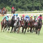 2026 Arlington Million Stakes at a Glance