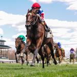 Noel’s Weekend Winners: Big Opportunity on Blue Grass Stakes Day