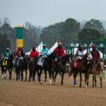 2026 Rebel Stakes Cheat Sheet