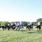 An Upset in the Nashville Derby? 20-1 Longshot the Top Choice in $3 Million Race 