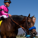 2019 Rebel Stakes Cheat Sheet