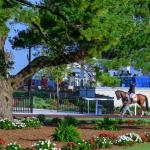 Live Longshots and Value Bets for Opening Day at Belmont Park