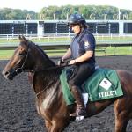 European Horses to Know for 2018 Arlington Million Day