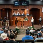 $10.5 Million! The Inside Scoop on a Record-Setting Purchase at OBS Spring Sale
