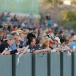 D’code the Top Pick in Loaded 2026 Southwest Stakes