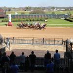 Strategic Risk the Top Selection in Competitive Southwest Stakes
