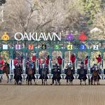 Where to Watch/Listen: Horse Racing Coverage Dec. 11-14