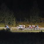 2026 Presque Isle Downs Masters Stakes Cheat Sheet