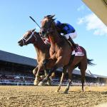 Betting on Speed the Strategy in 2025 Woodward Stakes