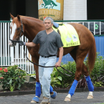2019 Preakness Stakes Cheat Sheet