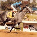 How One Princess Reigned Supreme in the Sport of Kings: Princess Rooney