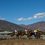 2026 Robert B. Lewis Stakes at a Glance