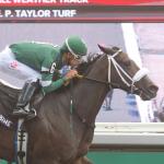 Betting an All-Weather Specialist in 2026 Presque Isle Downs Masters Stakes