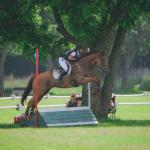 Thoroughbred Makeover Diary: Salesman Is a True ‘Heart Horse’