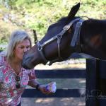 Horses a Path to Healing for Debbie Self, Co-Owner of Eclipse Awards Finalist Super Corredora