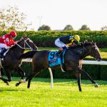 Rhetorical, Ted Noffey Shine at Keeneland on Fall Stars Saturday 