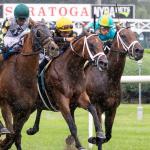 Betting Far Bridge and a Pair of Euro Invaders in Sword Dancer Stakes