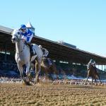 Where to Watch/Listen: Horse Racing Coverage Jan. 8-11