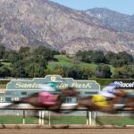 Santa Anita Park 2026 Fall Meet Preview: Tips and Trends to Win at ‘The Great Race Place’