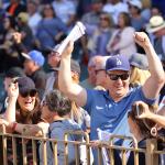 Trifecta Betting Strategy for 2026 San Felipe Stakes