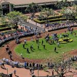 Finding Value with a Longshot in the 2025 Goodwood Stakes