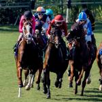 Take A Breath the Top Pick in Royal Heroine Stakes