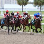 The Sport | America's Best Racing