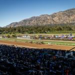 How Can Anime Positively Impact Horse Racing? Let the Umamusume Community Explain