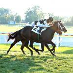 Major Movement in Top 50 on Equibase Leaderboard, New Pacesetters Among 2-Year-Olds