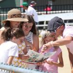 2026 Secretariat Stakes at a Glance