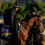 Backing a Del Mar Standout in the 2025 Breeders’ Cup Distaff