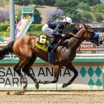 2025 Clement L. Hirsch Stakes at a Glance